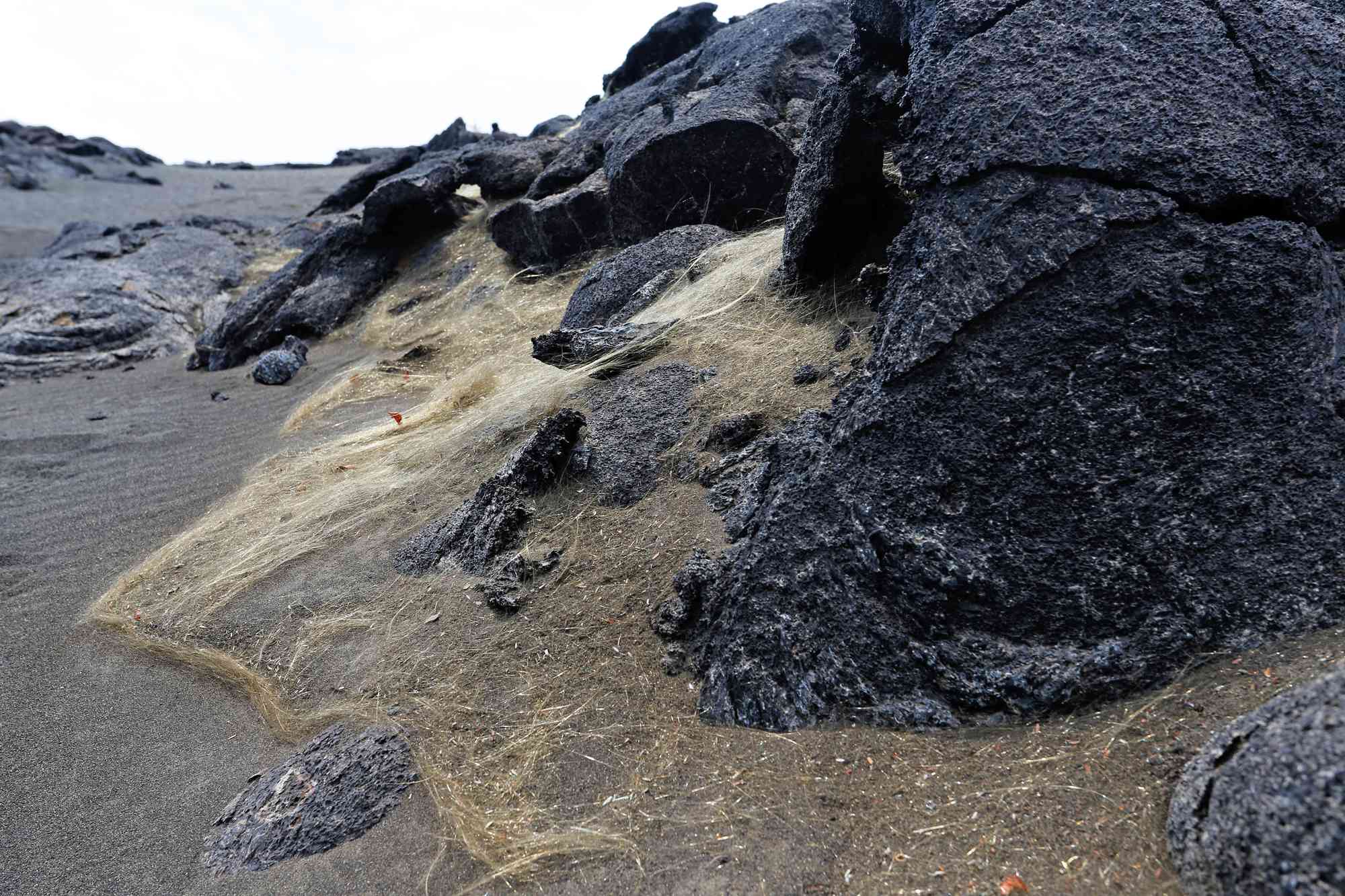 CXR4YG Pele's Hair, fine volcanic glass fiber deriving from the current eruption of the Kilauea volcano, Hawaii Volcanoes National Park