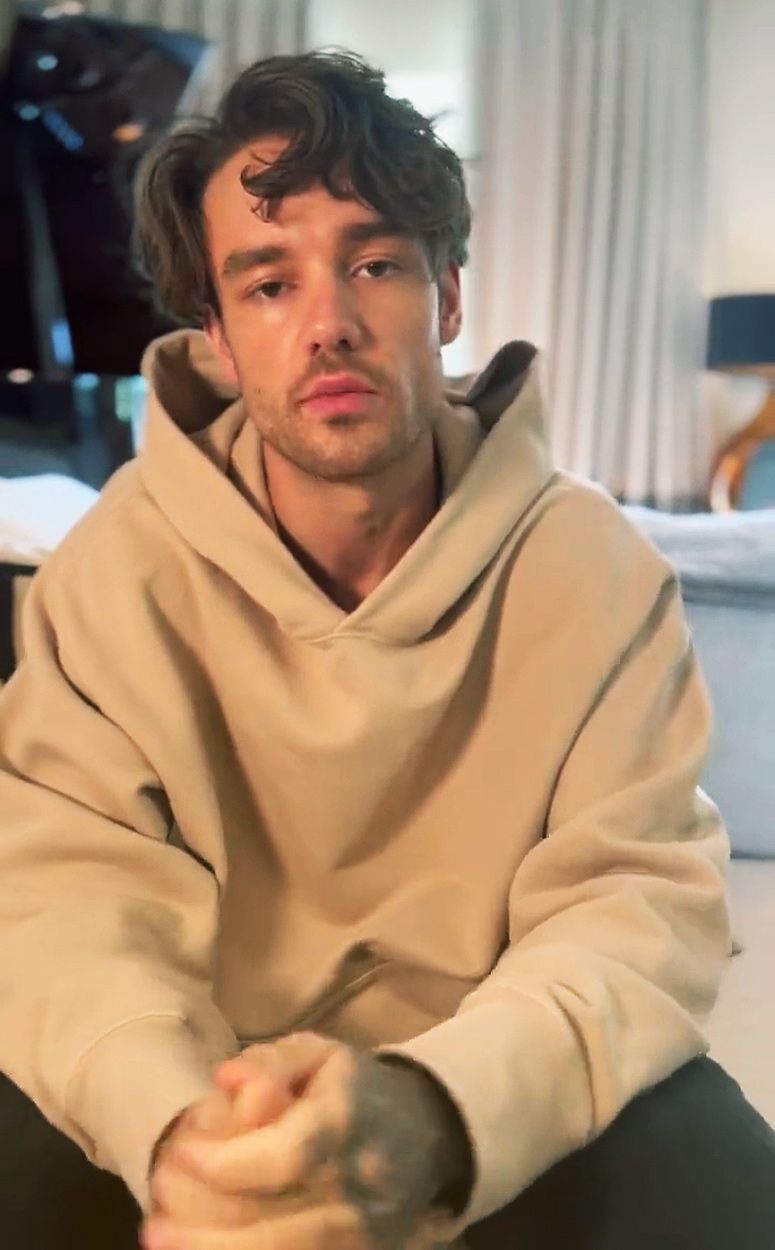 Liam Payne Cancels Tour Due to Kidney Infection