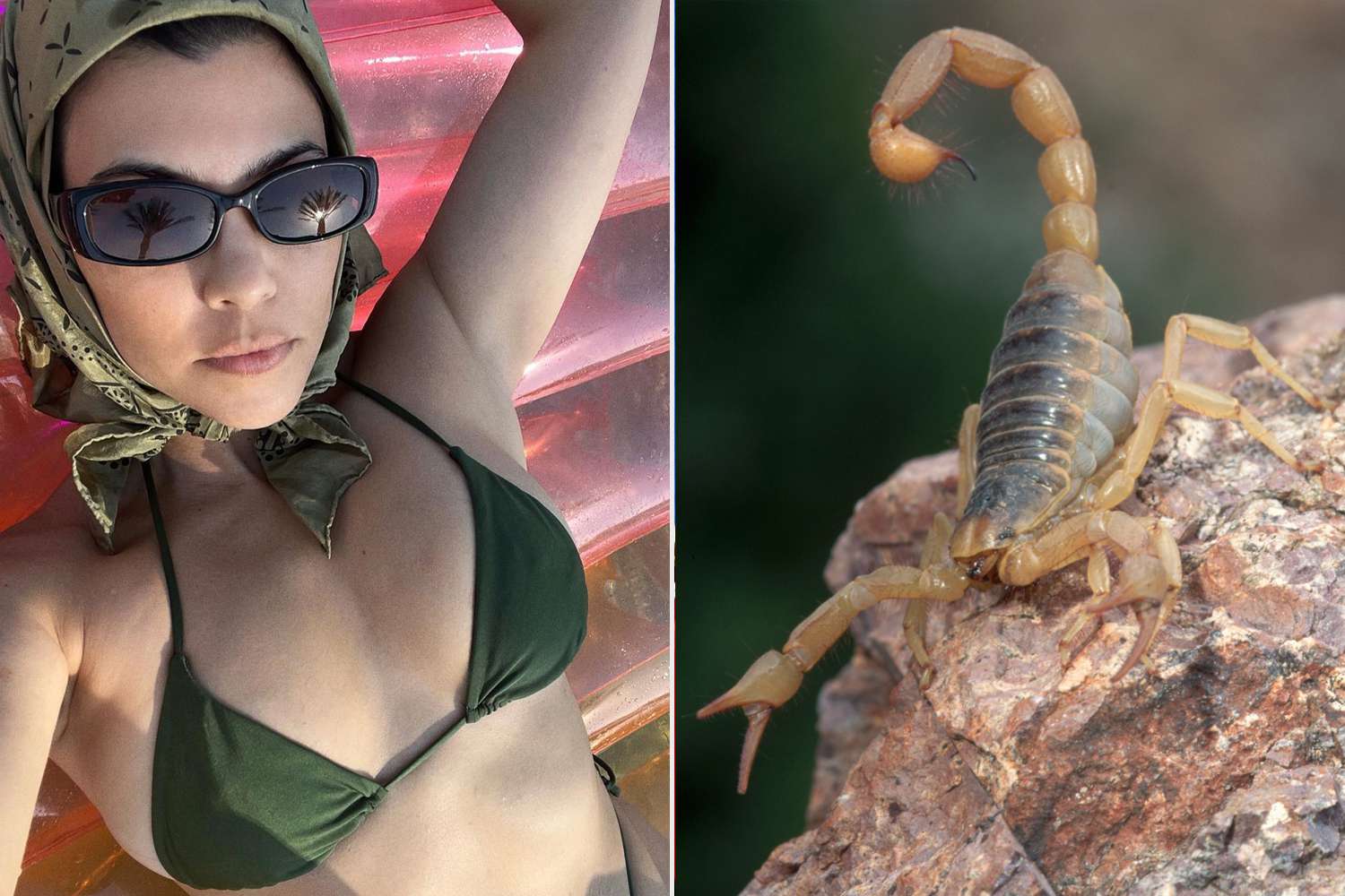 Kourtney Kardashian Bikini, Instagram, Arizona Scorpion