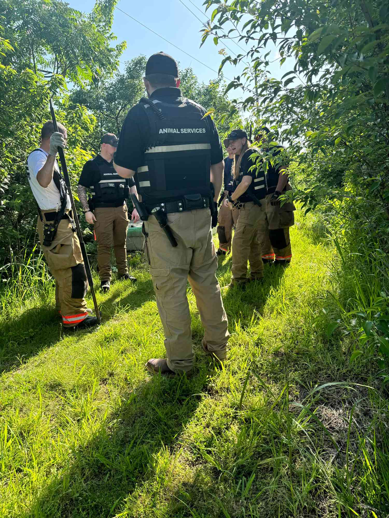 Alligator with Mouth Taped Shut Found Alive One Week After Disappearing from School Visit in Kansas City