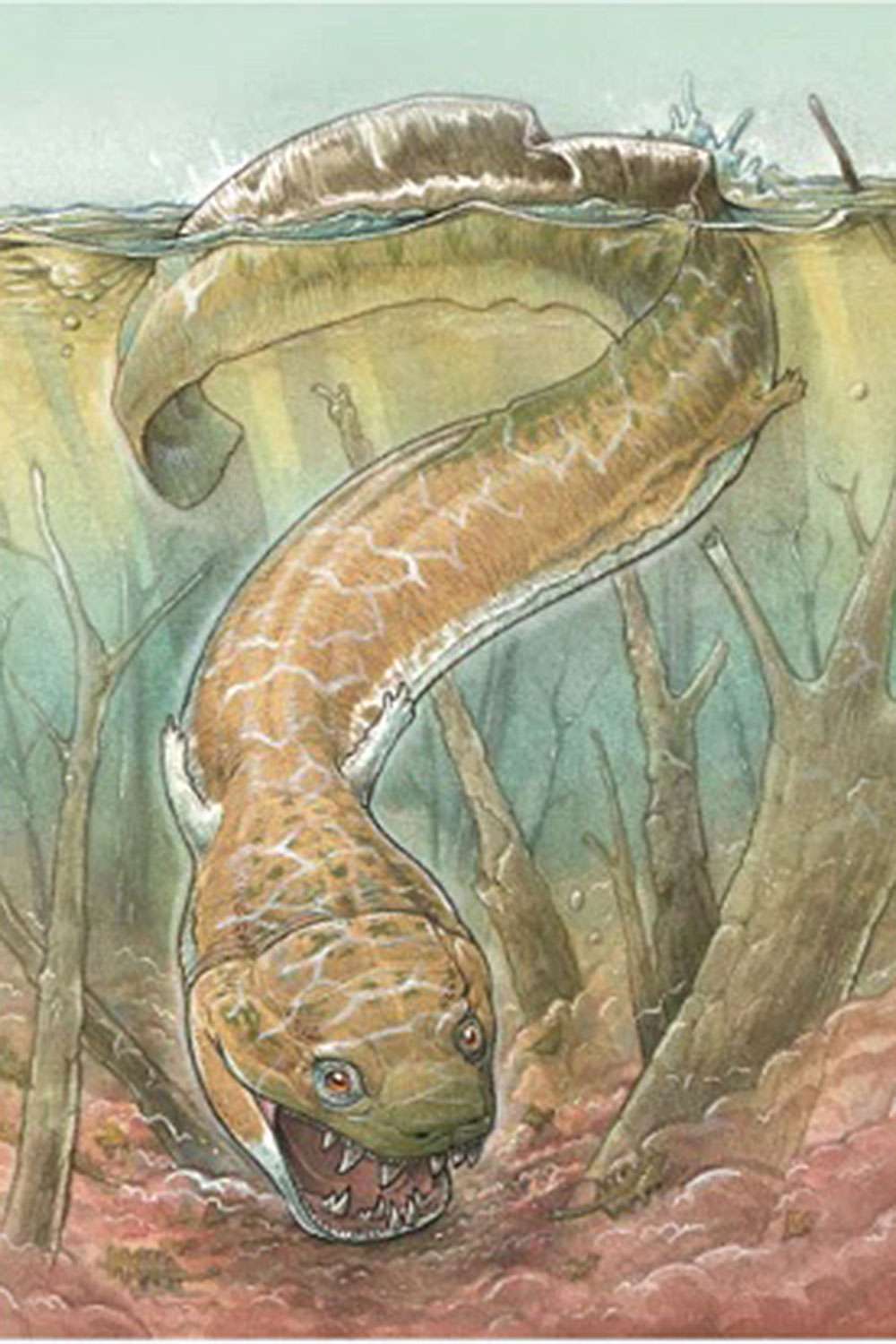 Giant salamander-like creature was a top predator in the ice age before the dinosaurs Artistâs rendering of Gaiasia jennyae. Credit: Gabriel Lio