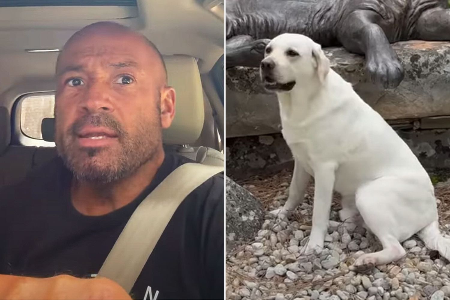 Man Discovers He's in the Wrong Car When He Finds Stranger's Dog in the Back Seat