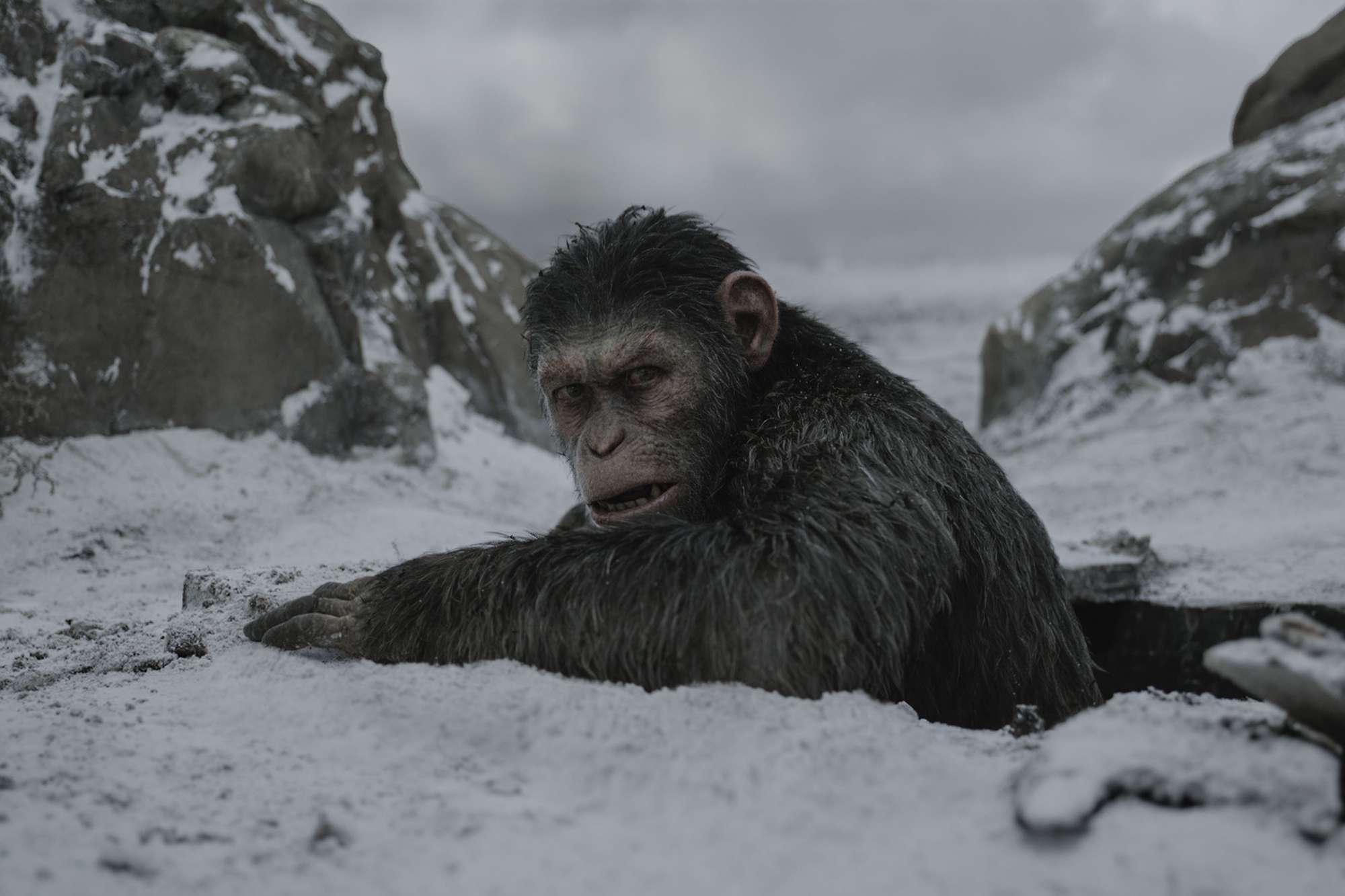 War for the Planet of the Apes