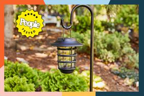 Best outdoor solar lights