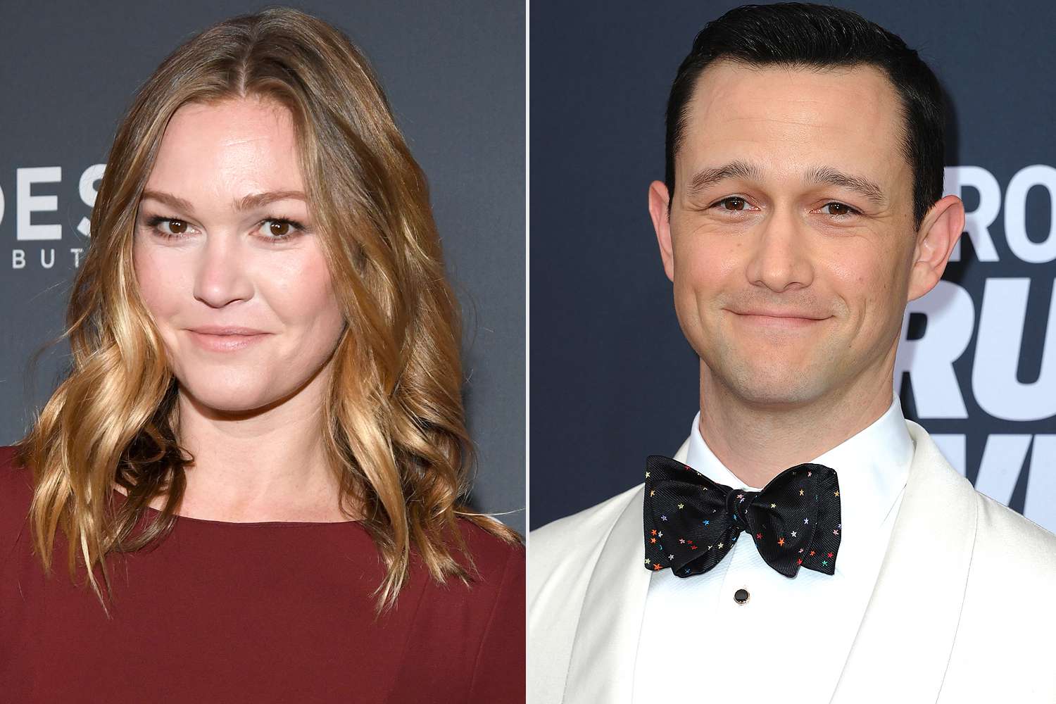 Julia Stiles, Joseph Gordon-Levitt