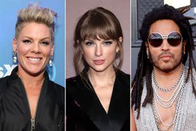 Pink, Taylor Swift, Lenny Kravitz