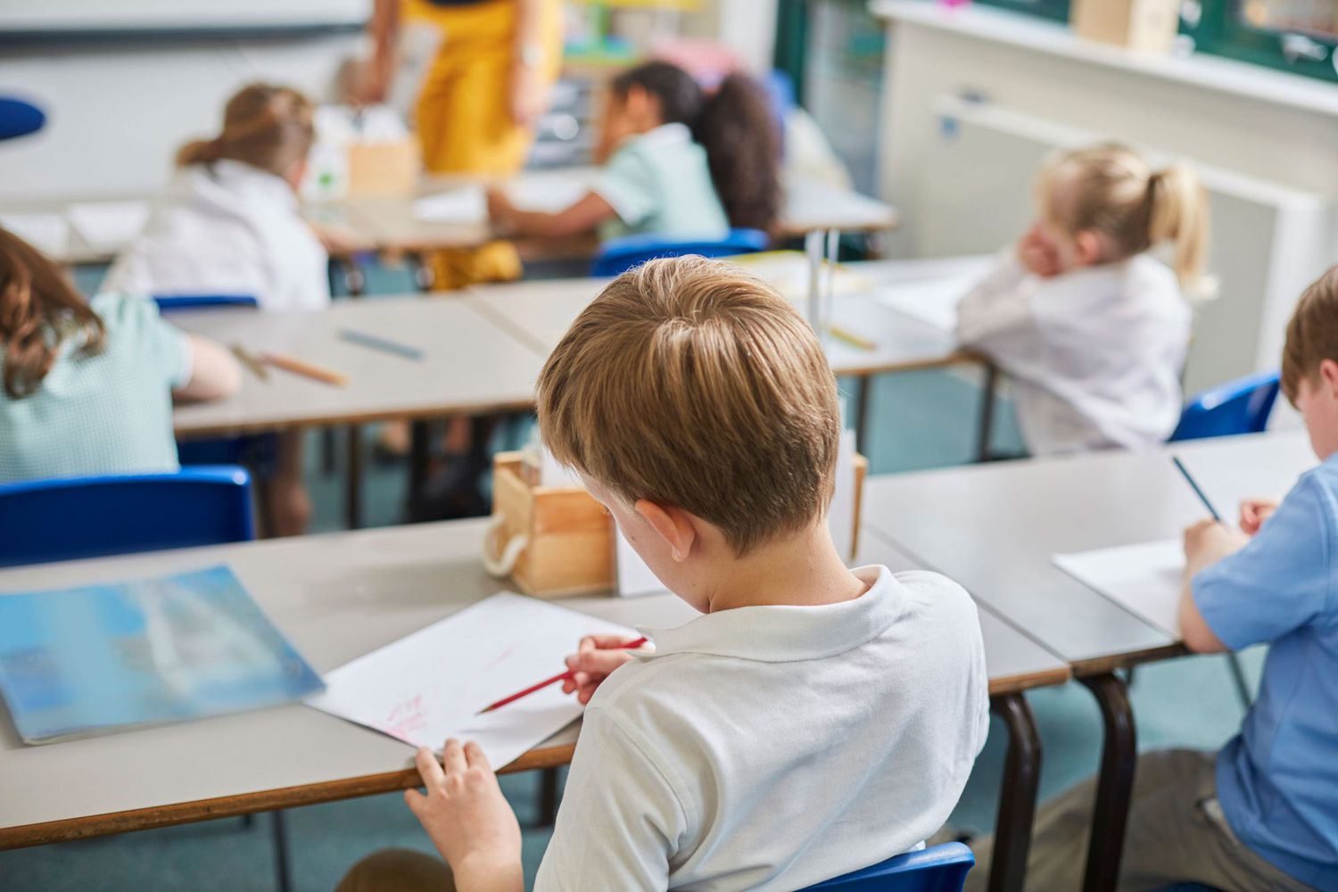 Primary schoolboy and girls doing schoolwork at classroom desks, rear view