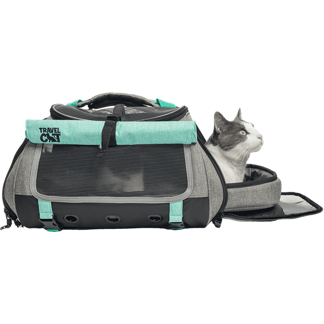 Travel Cat Transpurrter cat carrier bed