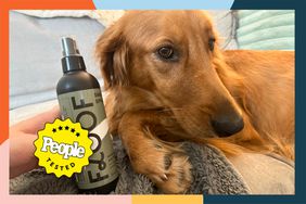 dog paw cleaners with dog