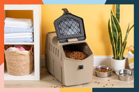 A pet food filled Gunner Foof Crate on a wood floor next to a shelf and pet food dishes