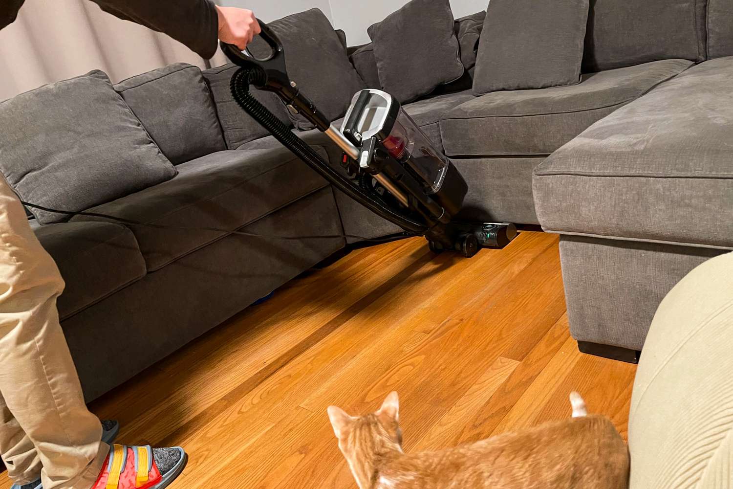 A person uses the Shark ZU102 Pet Vacuum with PowerFins HairPro and Odor Neutralizer to clean a wood floor