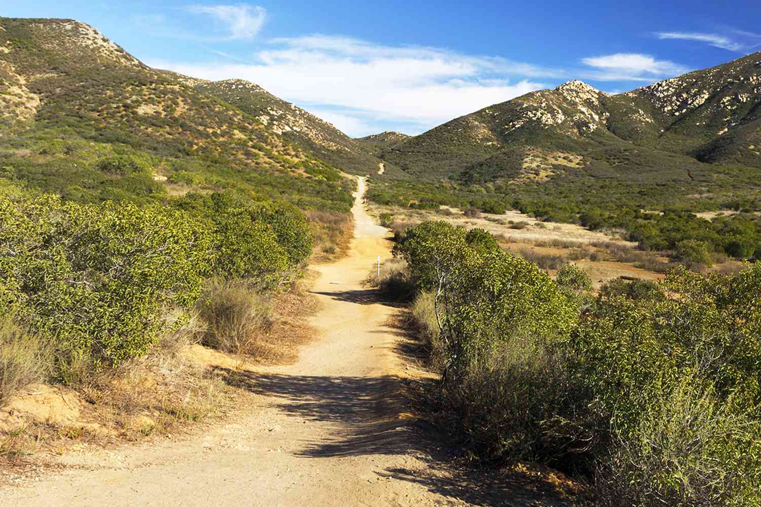 Mountain Hiking Trail in San Diego County, California