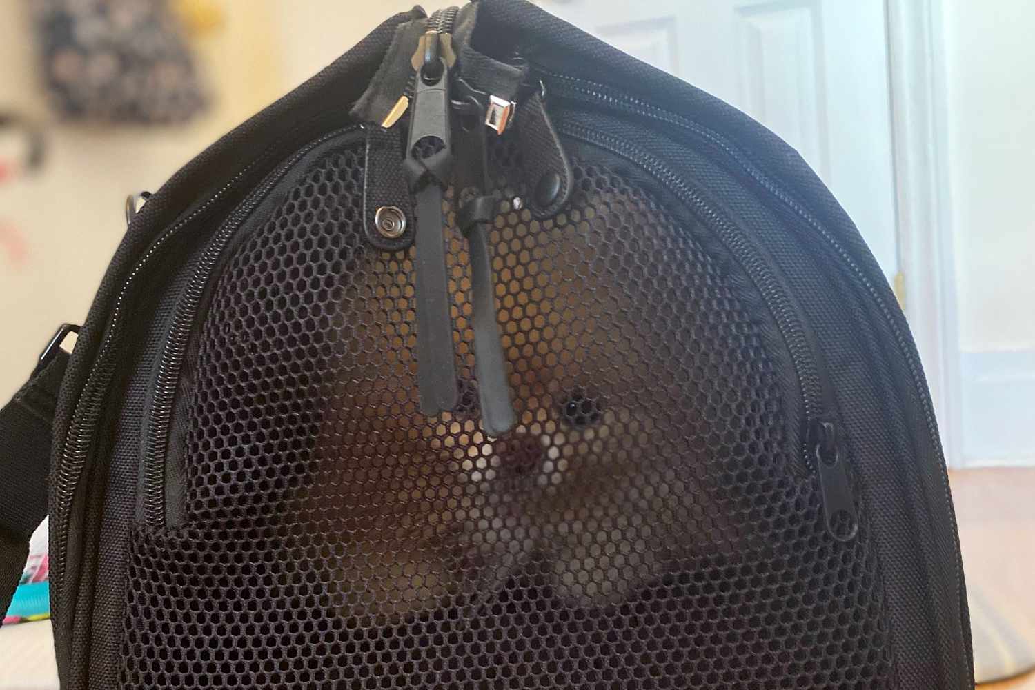 side view of dog inside of Wild One Travel Carrier