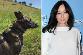 Shannen Doherty's Dog Bowie, Shannen Doherty 