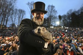 Groundhog Club handler A.J. Dereume holds Punxsutawney Phil, the weather prognosticating groundhog, during the 138th celebration of Groundhog Day on Gobbler's Knob in Punxsutawney, Pa., Friday, Feb. 2, 2024