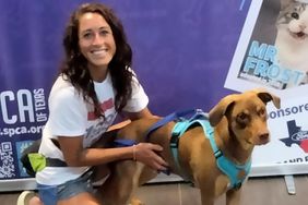 Dezorey and bear bear adoption