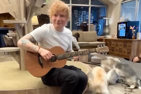 Ed Sheeran at Cat Cafe