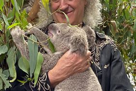 Brian May