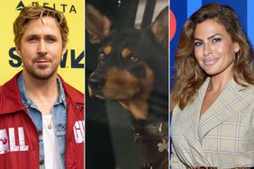 Ryan Gosling; the dog Jean Claude in 'The Fall Guy'; Eva Mendes