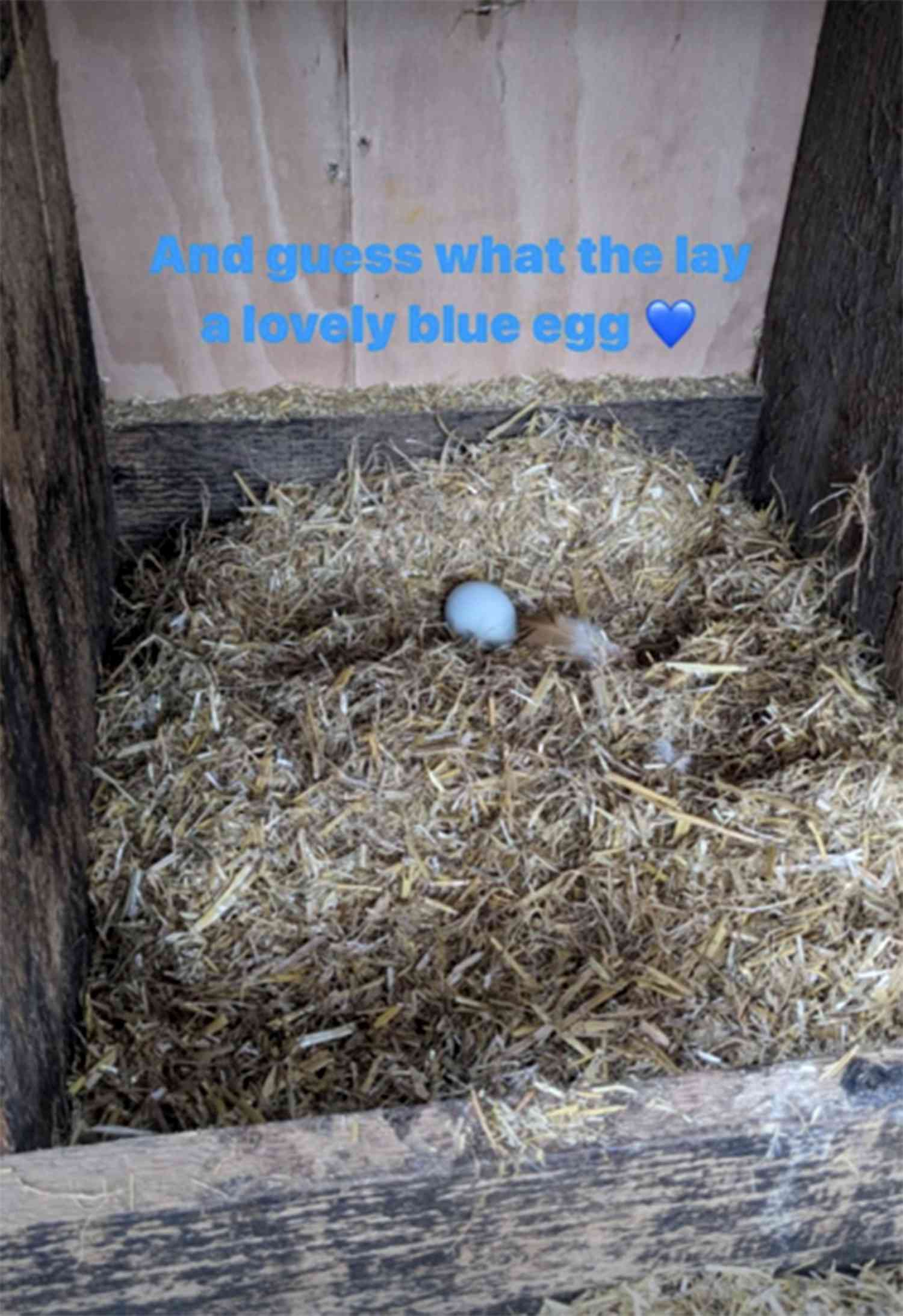 David Beckham revealed a blue egg on his Instagram story on March 26, 2024