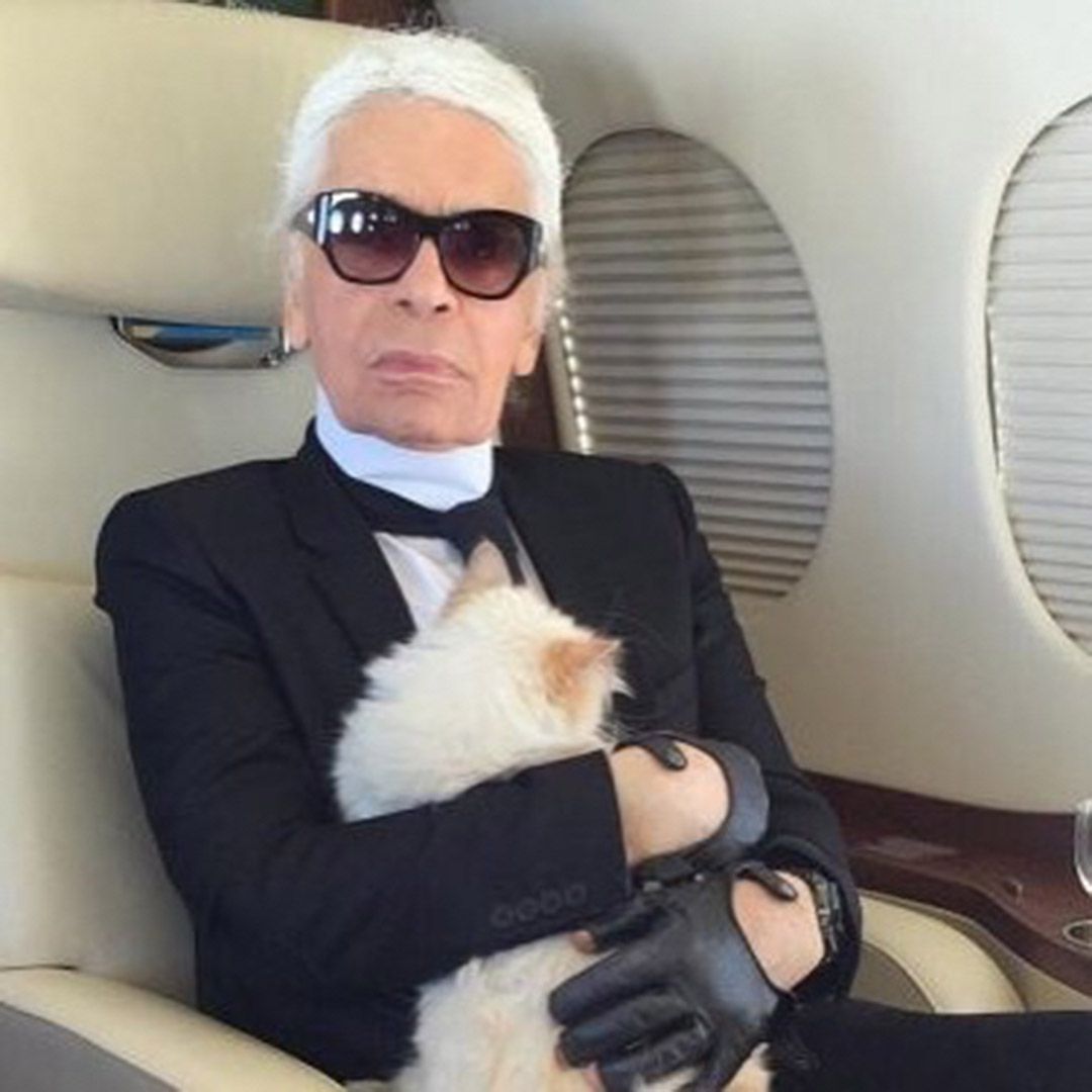 https://www.instagram.com/p/BY3uVfIg0uj/Choupette/InstagramKarl Lagerfeld