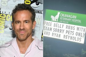 Ryan Reynolds and Vet Ad Offering Him Free Belly Rubs