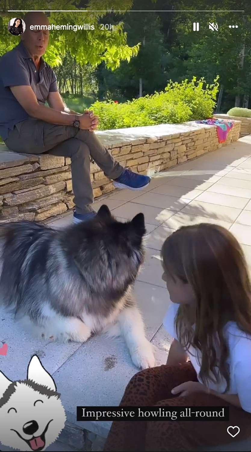 https://www.instagram.com/stories/emmahemingwillis/2869512650779519839/ — Bruce Willis Shows Off His 'Impressive' Howling Skills with Daughter Evelyn and Their Dog