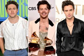 Niall Horan, Harry Styles Grammys, Liam Payne