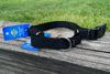 The PetSafe Martingale Collar with tags on a wooden surface