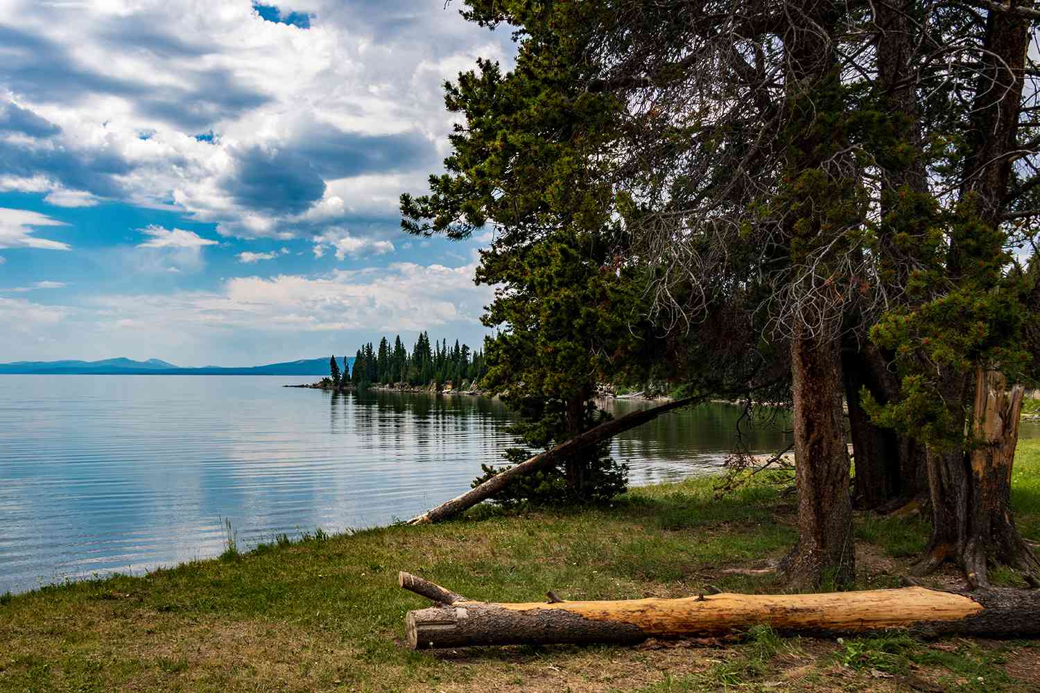 Yellowstone lake Along Storm Point Nature Trail file image