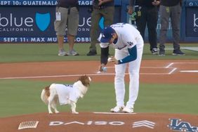 Shohei Ohtani’s Dog Decoy ‘Throws’ the Perfect First Pitch on Puppy’s Bobblehead Night