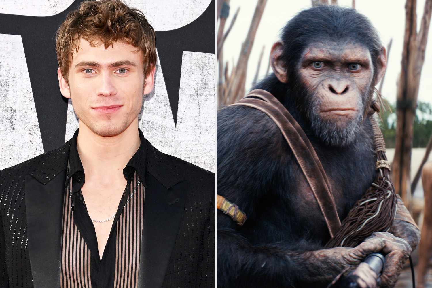 Owen Teague attends the World Premiere of 20th Century Studios" "Kingdom of the Planet of the Apes" at TCL Chinese Theatre on May 02, 2024 in Hollywood, California.; Raka (played by Peter Macon), Noa (played by Owen Teague) , and Freya Allan as Nova in 20th Century Studios' KINGDOM OF THE PLANET OF THE APES. Photo courtesy of 20th Century Studios
