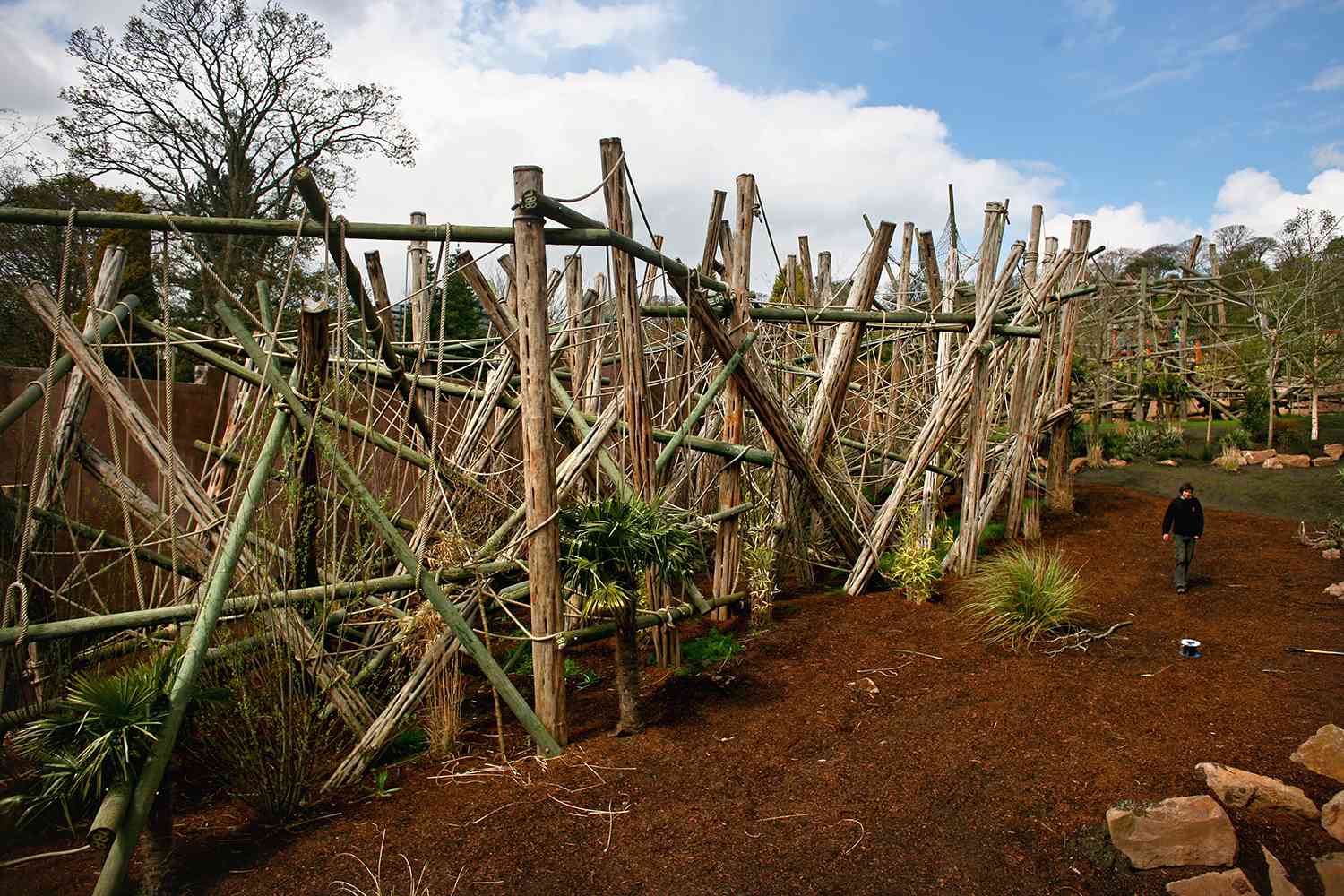 The Budongo Trail Chimpanzee enclosure at the Edinburgh Zoo in Scotland