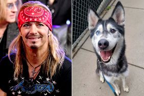 Bret Michaels Adopts a Dog Named for Him After It Gives Life-Saving Blood Donation to Kitten