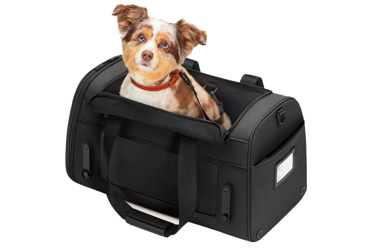 Away The Pet Carrier