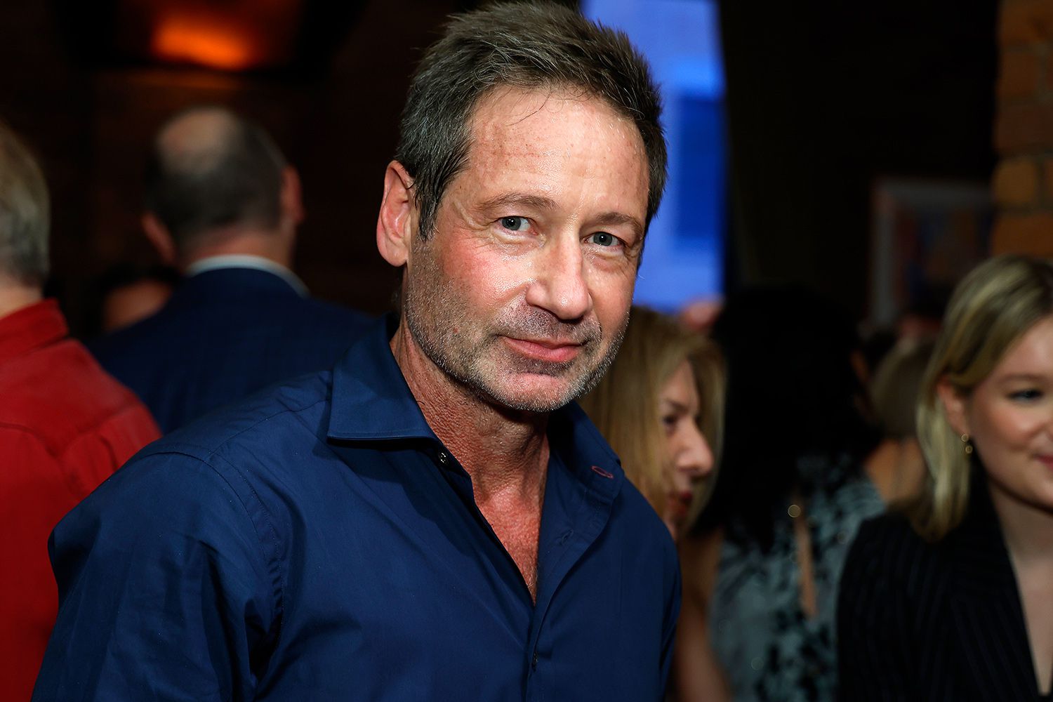 David Duchovny Teases His Upcoming Romantic Comedy with Meg Ryan