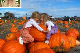 nicky hilton pumpkin patch