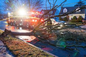 At Least 4 Dead, Including Man Killed by Tree While Cleaning Roof, amid Powerful East Coast Storm.