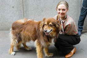 Amanda Seyfried Celebrates Dog Finn's 14th Birthday : 'Finn Stories All Day' 