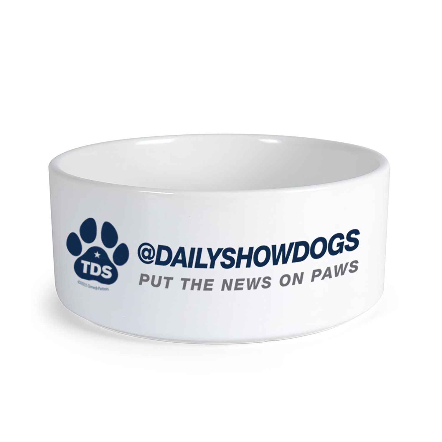 Daily show dog gear