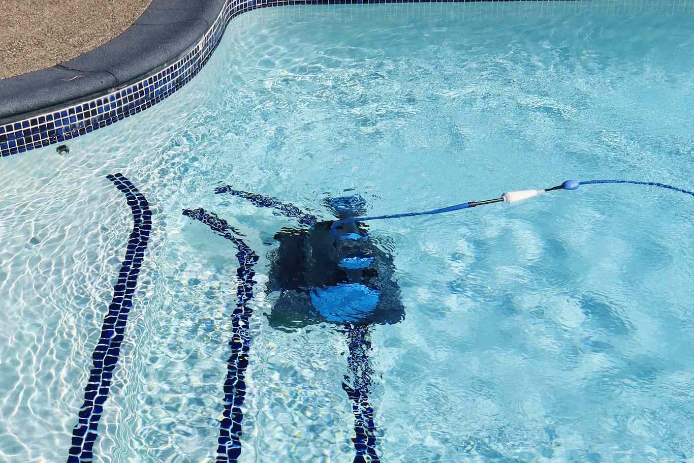 Dolphin Premier Robotic Pool Cleaner 