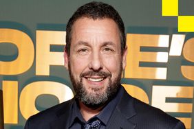 Adam Sandler Puzzler