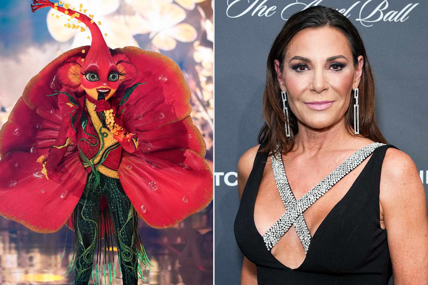 THE MASKED SINGER: Hibiscus, Luann de Lesseps