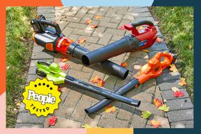 Best Electric Leaf Blowers