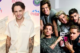 Liam Payne poses in the evian VIP Suite; Zayn Malik, Liam Payne, Louis Tomlinson, Niall Horan and Harry Styles from One Direction