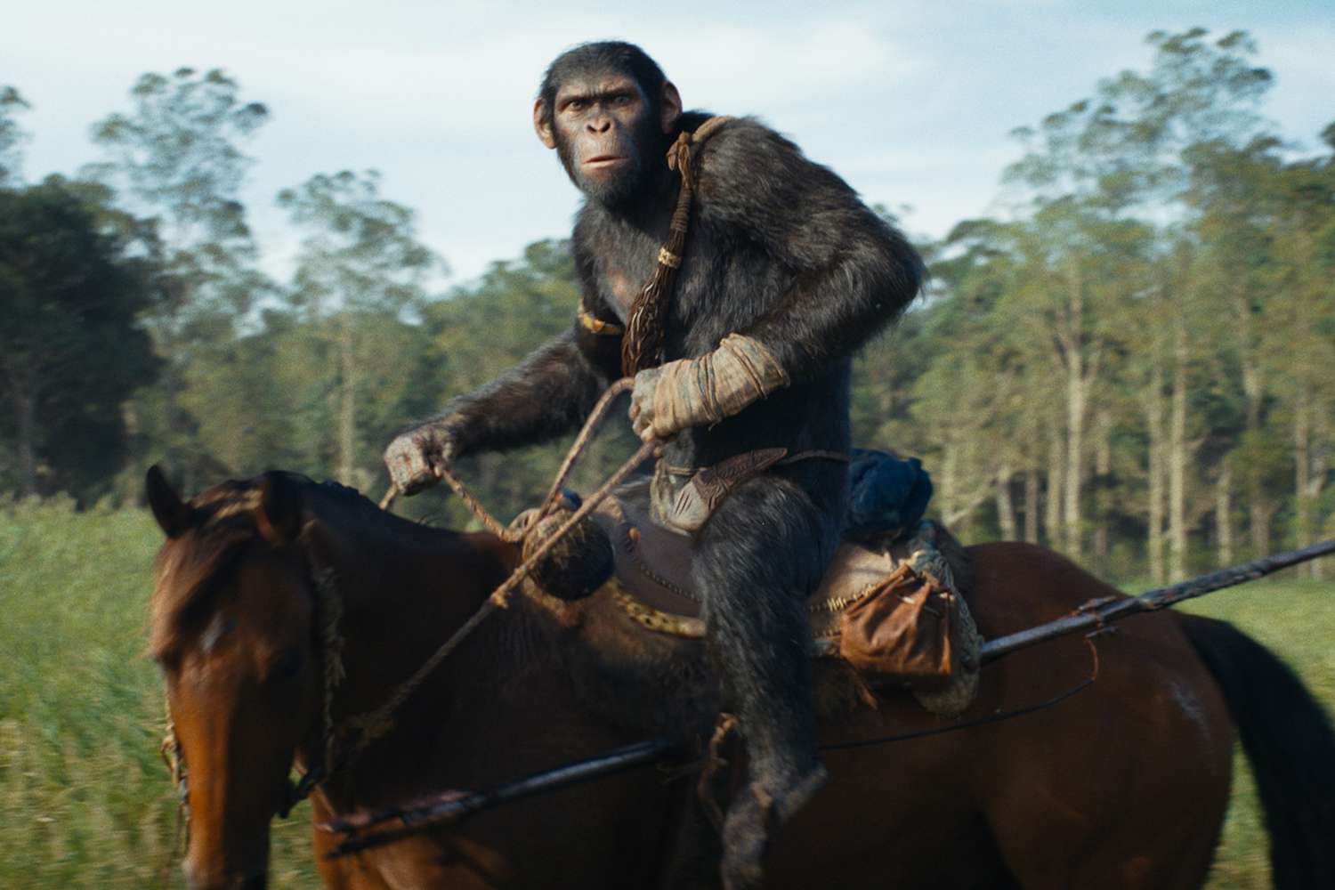 Noa (played by Owen Teague) in 20th Century Studios' KINGDOM OF THE PLANET OF THE APES.