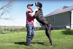 Tallest Living Dog Kevin
