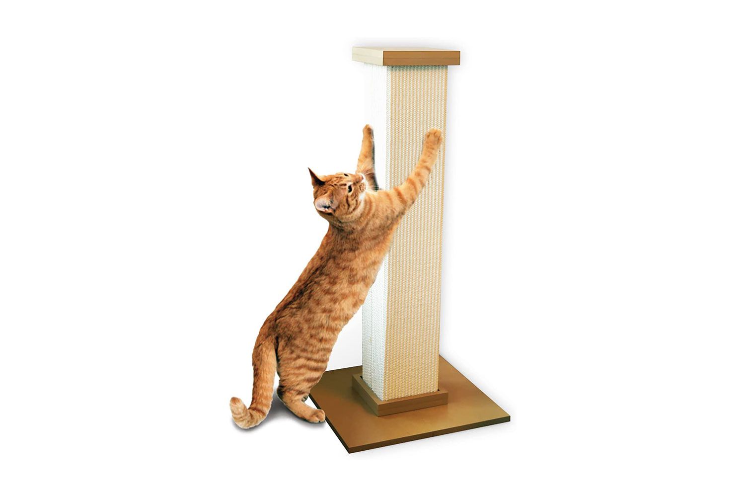 SmartCat The Ultimate Scratching Post