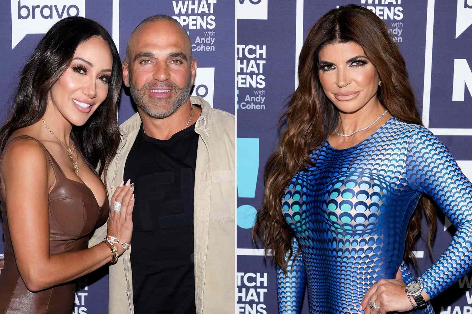 Melissa Gorga, Joe Gorga, Teresa Giudice