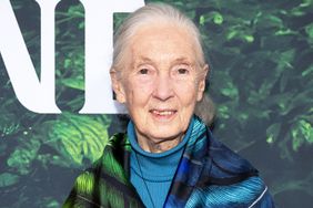 Dr. Jane Goodall attends the Los Angeles Premiere of Apple TV+ Original Series "Jane" at the California Science Center on April 14, 2023 in Los Angeles, California.